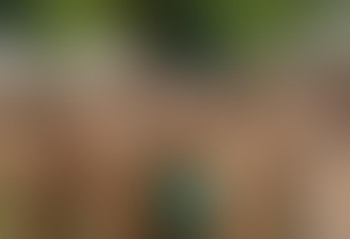 A joyful gathering of diverse individuals enjoying a sunny day at a nudist event, surrounded by lush greenery and vibrant festival decorations. Include playful activities like yoga, art, and dance, emphasizing body positivity and community spirit. Capture the essence of freedom and acceptance with a warm, inviting atmosphere. Bright and cheerful color palette. super-realistic. vibrant colors.